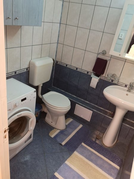 Teiul Doamnei, Colentina