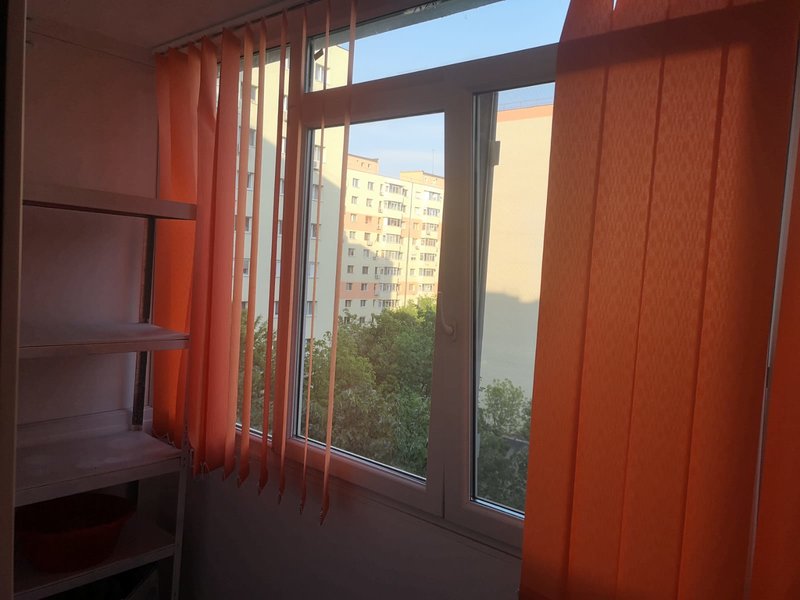 Teiul Doamnei, Colentina