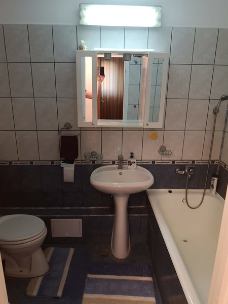 Teiul Doamnei, Colentina