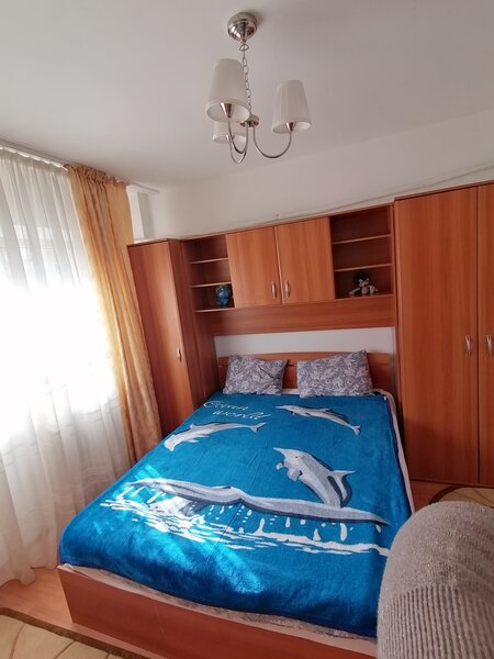Teiul Doamnei, Colentina