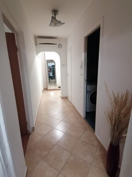 Teiul Doamnei, Colentina