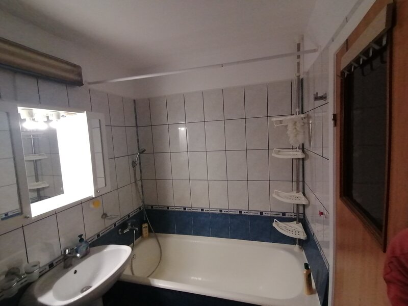 Teiul Doamnei, Colentina